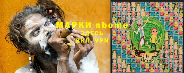 амф Гусев
