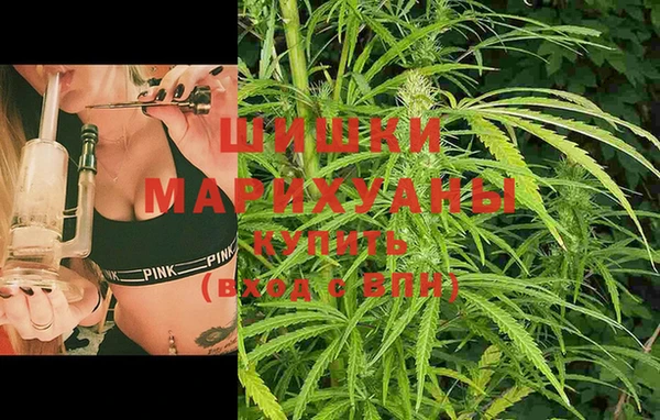 мдпв Вязники