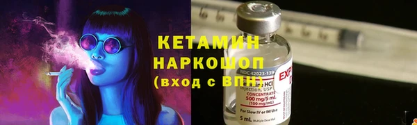 амф Гусев