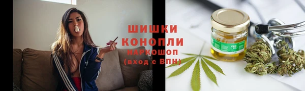 амф Гусев