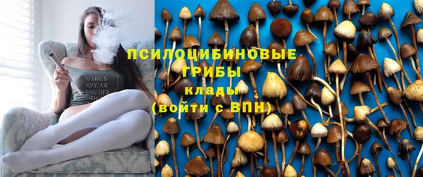 кокс Вяземский