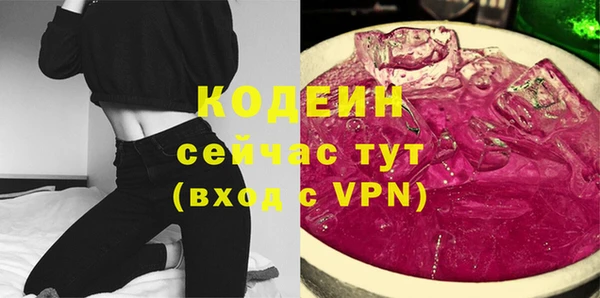 амф Гусев