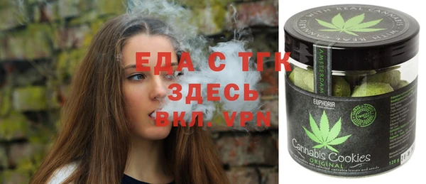 амф Гусев